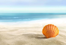 四川本地资讯信息网核心栏目优化方案