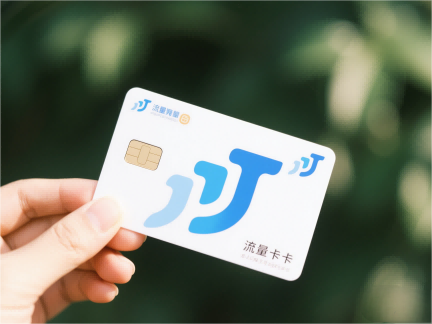 汽车出口物流成本：海运价格下降15%